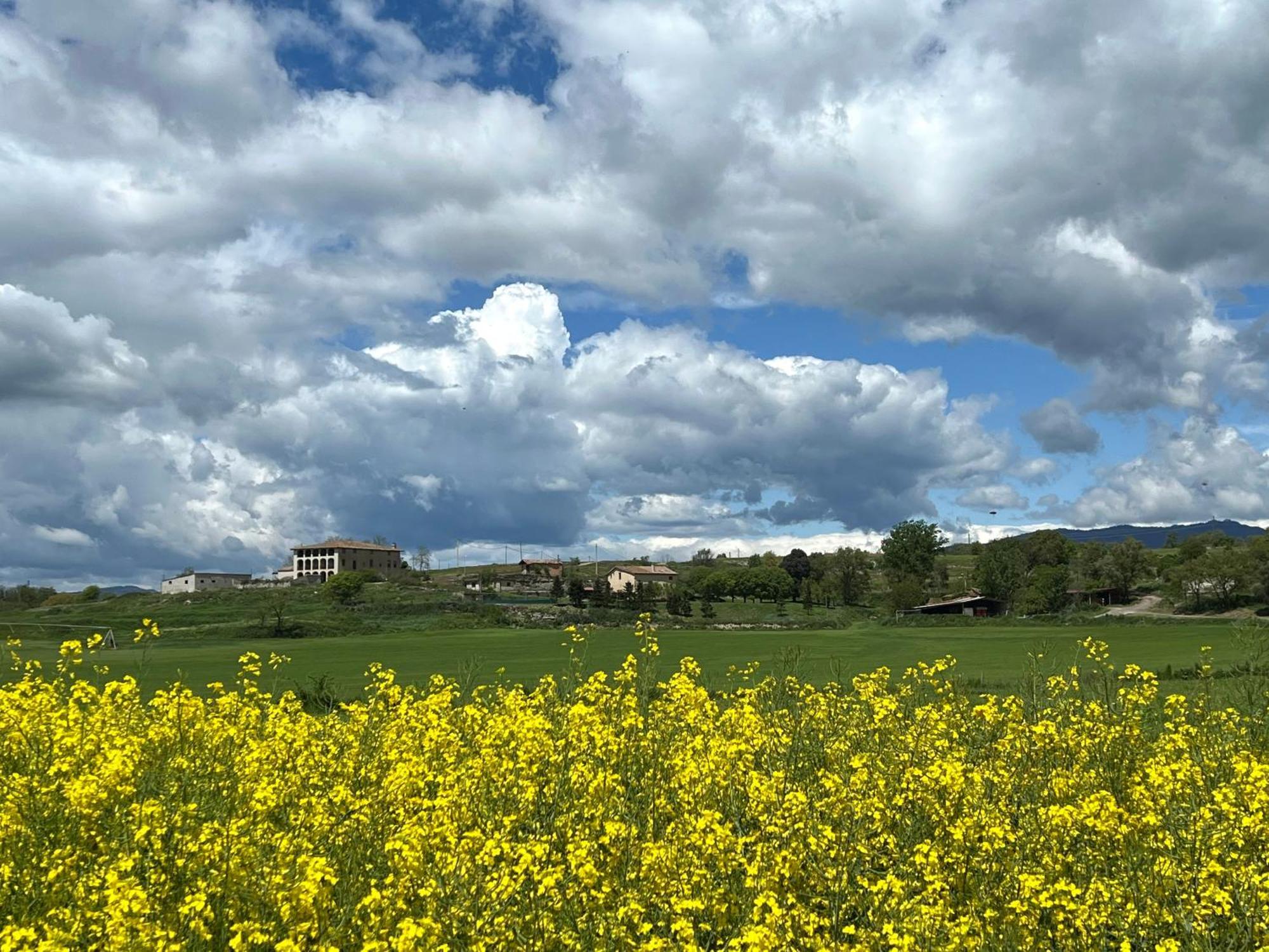 Casa Vella Del Cuni Séjour à la campagne Roda de Ter